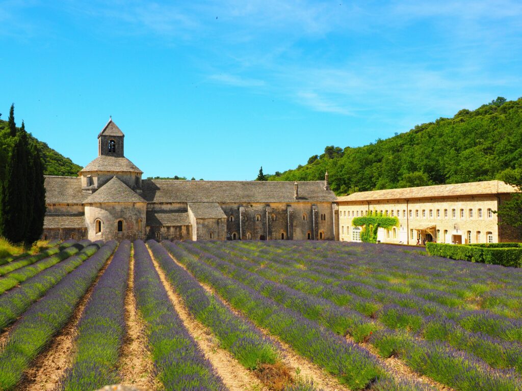champ de lavandes en Provence