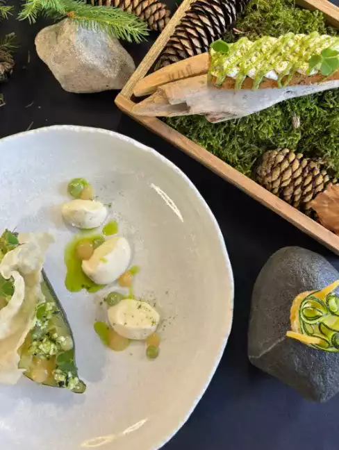 Assiette gastronomique dressée sur un plateau de mousse et de pommes de pin