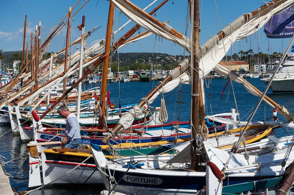 Pointus dans le port de Bandol