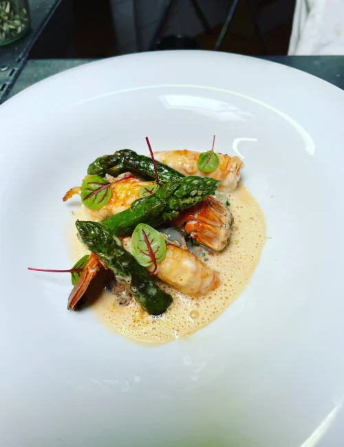 création de mickael parra