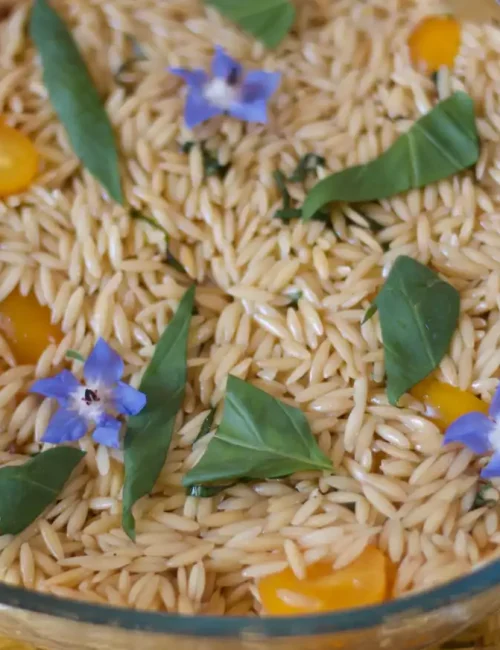 garniture à base de pâtes