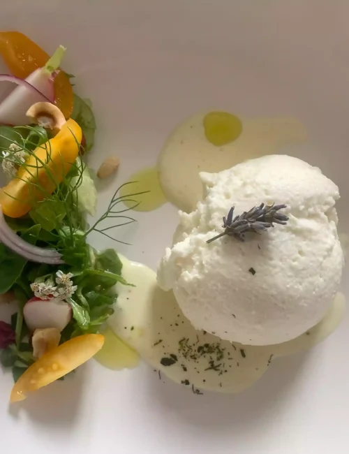 mousse de ricotta avec des crudités et de la salade